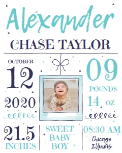 Birth Announcement Sign - Baby Boy 16x20: Birth Announcement Sign