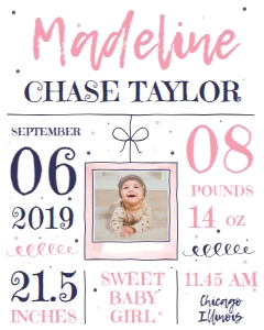 Birth Announcement Sign - Baby Girl 8x10: Birth Announcement Sign