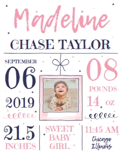 Birth Announcement Sign - Baby Girl 16x20: Birth Announcement Sign
