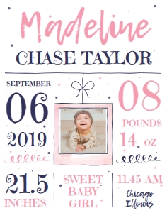 Birth Announcement Sign - Baby Girl 11x14: Birth Announcement Sign