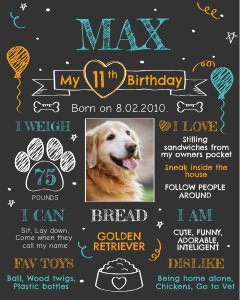 Dog Birthday Poster design preview