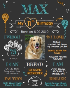 Dog birthday Poster 16x20: Dog Birthday Poster
