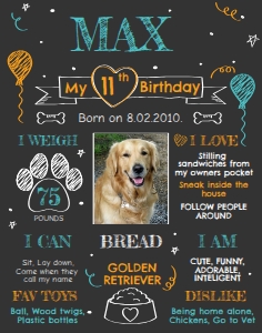 Dog birthday Poster 11x14: Dog Birthday Poster