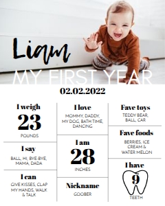 minimal photo milestone poster 16x20 M004: 1082984829