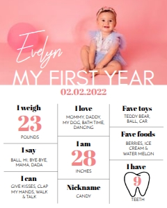 modern photo milestone poster 16x20 M004: 1108214847