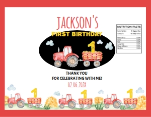 10733 design preview