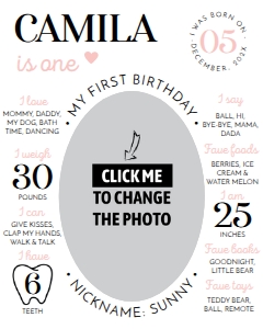 minimal photo milestone sign 16x20 M004: 1163482366