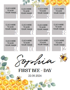 bee 1st birthday photo collage 11x14 B002: 1222765722