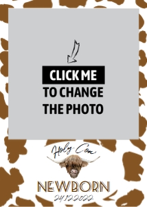 Highland cow birthday photo banner: 1244060651