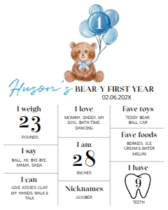 Blue teddy bear milestone poster T004: 1333836077