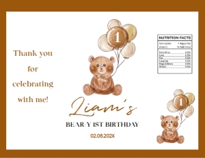 teddy bear chip bag T004: 1313638234