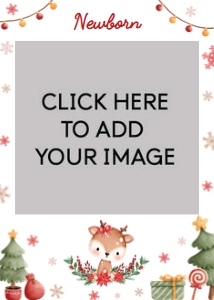 reindeer birthday photo banner R009: 8796