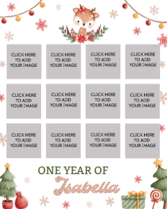 reindeer birthday photo collage 16x20 R009: 8809
