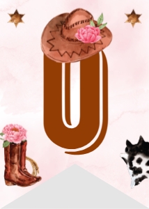 cowgirl highchair banner R007: 1321589787