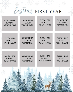 winter onederland deer photo collage 16x20 W006: 1324971887