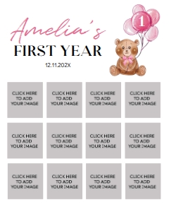pink teddy bear photo collage 16x20 T004: 1312906326