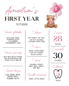 pink teddy bear milestone T004: 4338756402