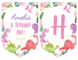 girl dinosaur birthday banner D006: 1340709493