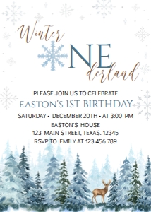 winter onederland invitation W006: 1354953245