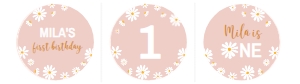 daisy first birthday cupcake topper D003: 1377015462