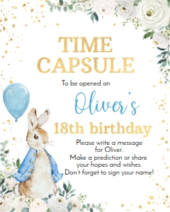 peter rabbit time capsule P007: 1429408734