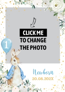peter rabbit photo banner P007: 1429408734