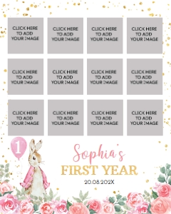 girl peter rabbit photo collage 16x20 P007: 1446020837