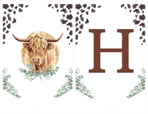 highland cow birthday banner C007: 1460350971