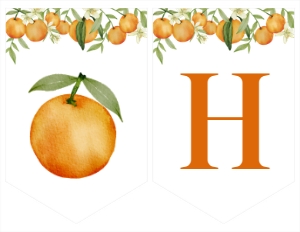 orange little cutie birthday banner O003: 1603662102