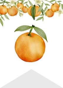 orange little cutie highchair banner O003: 1617841913