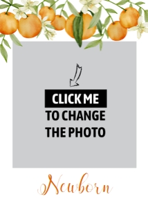 orange little cutie photo banner O003: 1700951046