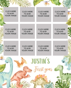 dinosaur 1st birthday photo collage 16x20 D011: 1488960952