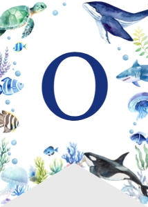 ocean birthday highchair banner O004: 1508677519