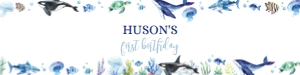 1494520684 design preview