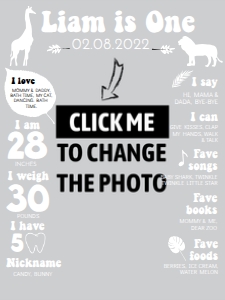 safari photo milestone poster 18x24 MI01: 1190966115