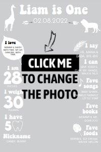 safari photo milestone poste 24x36 MI01: 1190966115