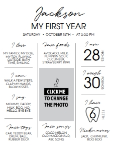 modern 1st birthday milestone poster 2 18x24 M004: 1329103127