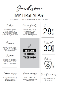 modern 1st birthday milestone poster 2 24x36 M004: 1329103127