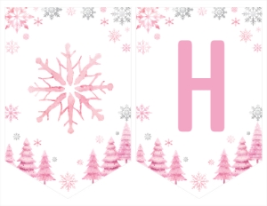 winter onederland birthday banner W015: 1582568787