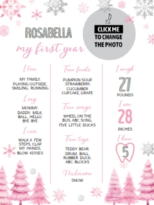 winter onederland milestone poster 18x24 W015: 1582568787