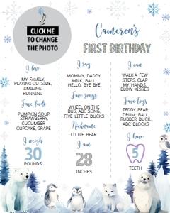 winter onederland milestone poster 16x20 W016: 1578454022
