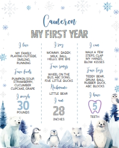winter onederland milestone 16x20 W016: 1810666977