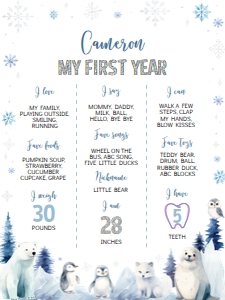 winter onederland milestone 18x24 W016: 1810666977