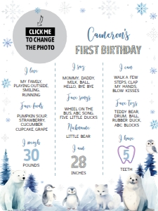winter onederland milestone poster 18x24 W016: 1578454022