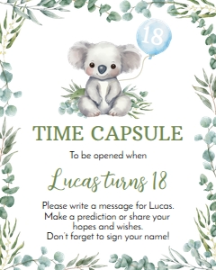 koala birthday time capsule K001: 1594902978