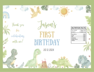 dinosaur birthday chip bag D014: 1618198358