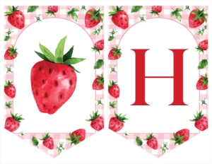 berry birthday banner B014: 1859487076