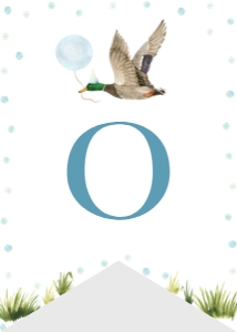 one lucky duck highchair banner L007: 9127