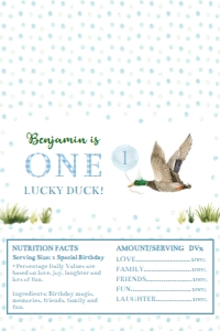 one lucky duck chocolate wrapper Aldi L007: 9097