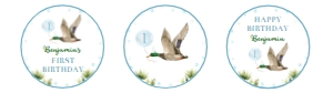 one lucky duck cupcake topper L007: 9102